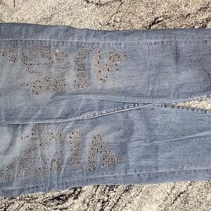 Lane Bryant Blue Skinny Jeans with Silver Accents Sz20